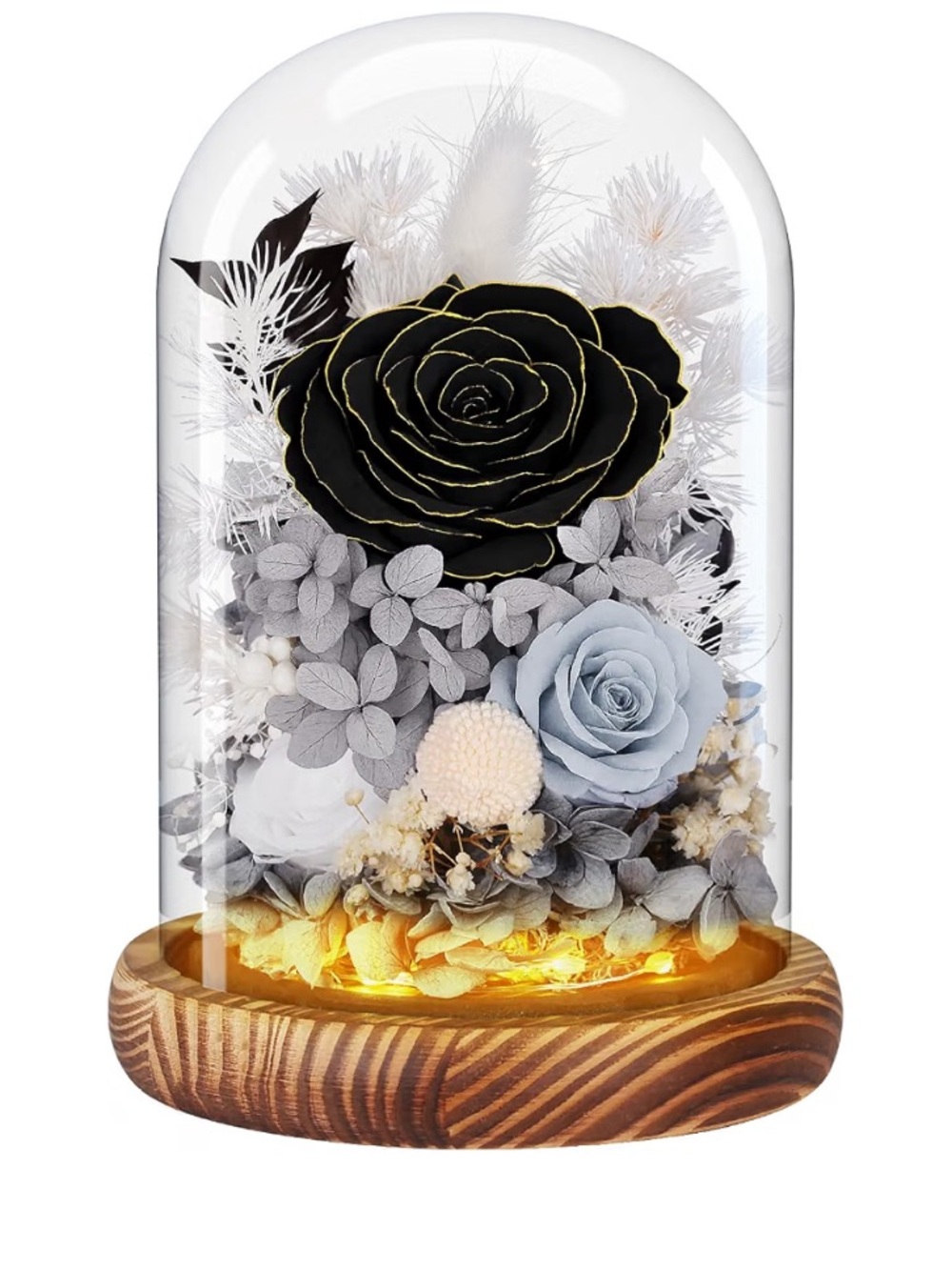 Preserved Black Rose Dome with LED Light - Home Accent